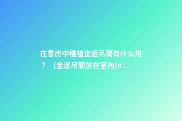在書房中種植金邊吊蘭有什么用？（金邊吊蘭放在室內(nèi)好嗎）